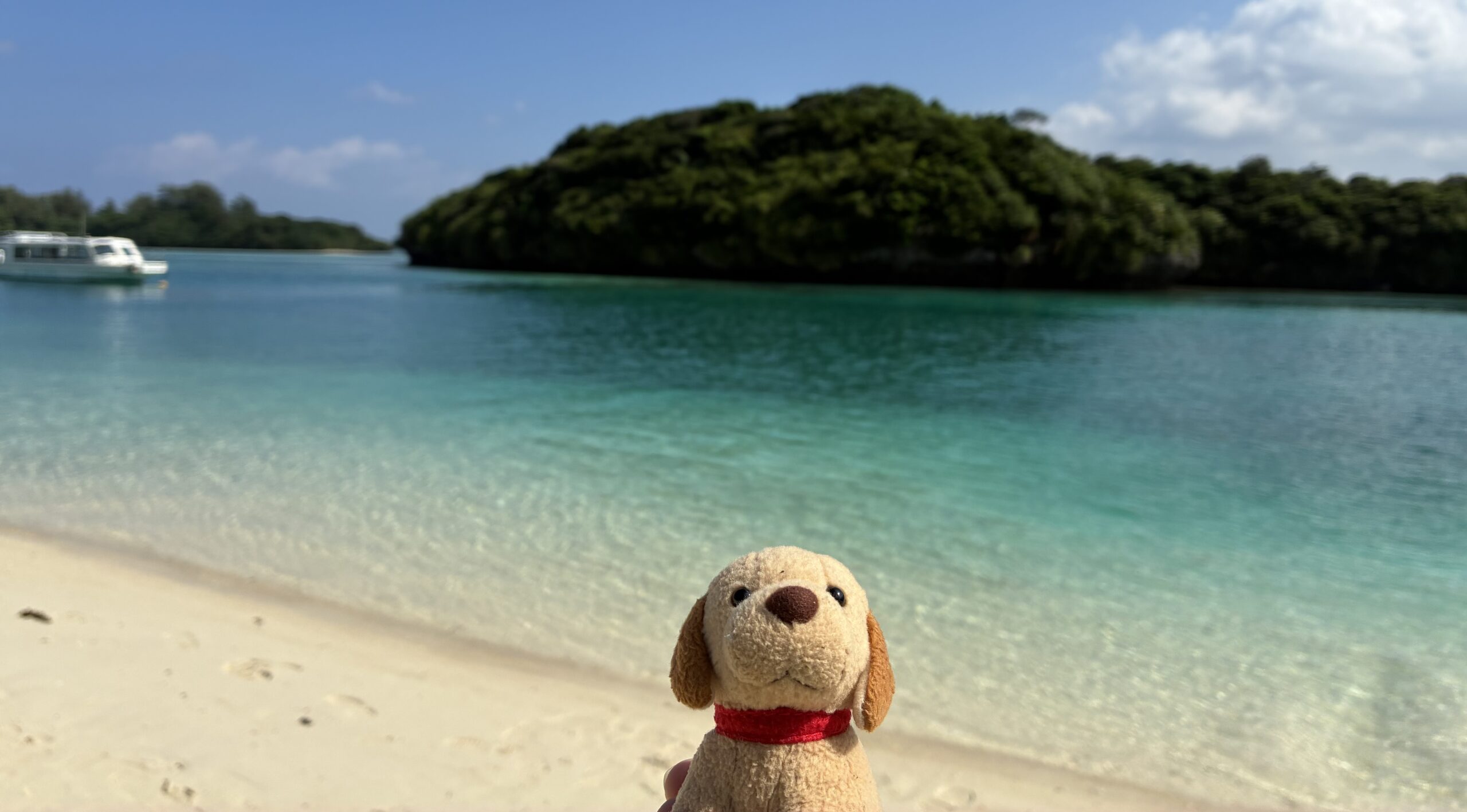 新Webサイト公開のお知らせ